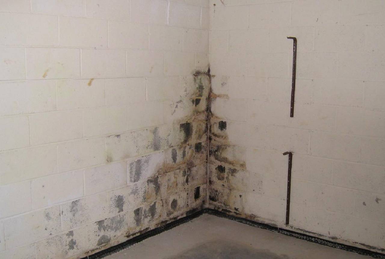 Basement foundation repair in Springdale, AR